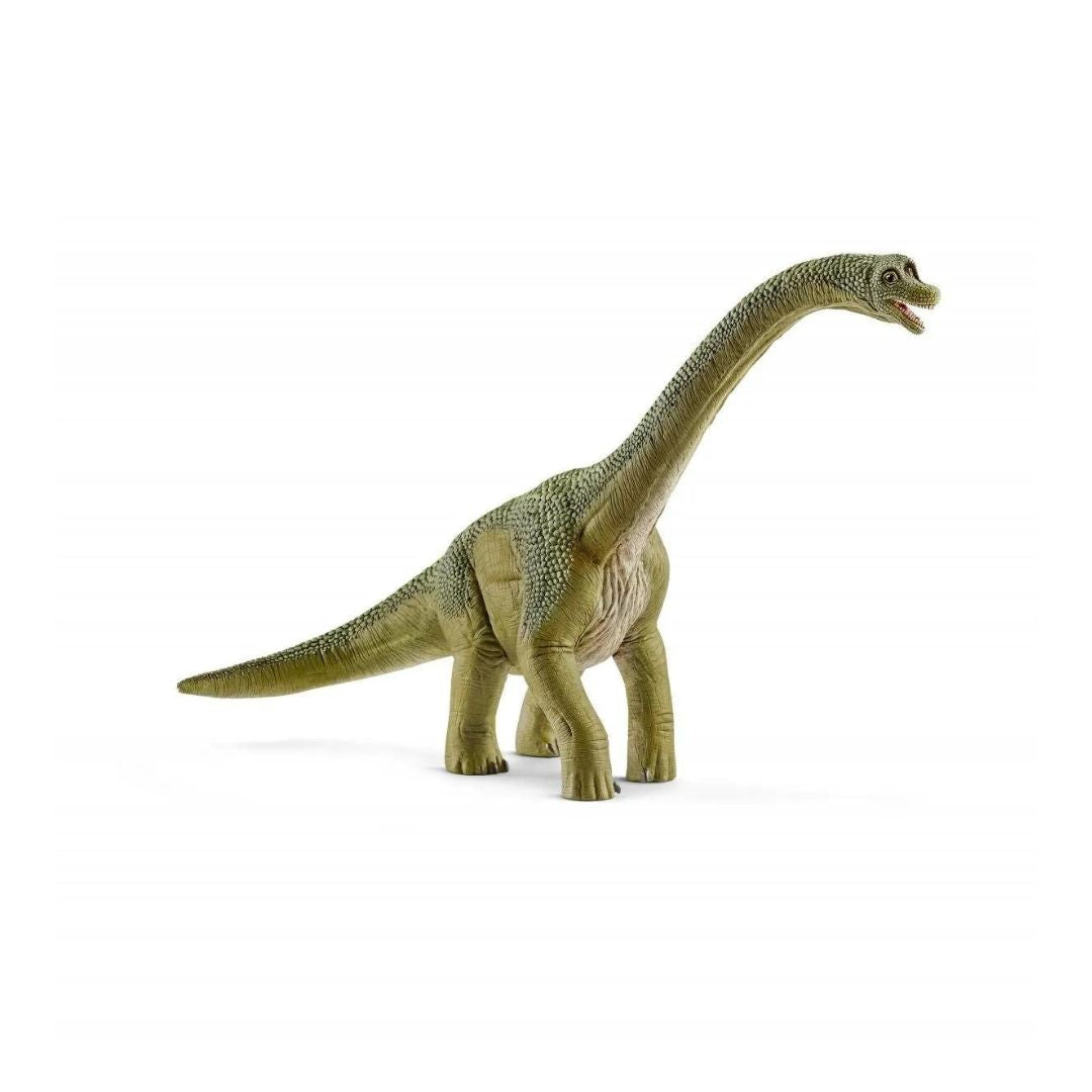 Dino - Brachiosaurus