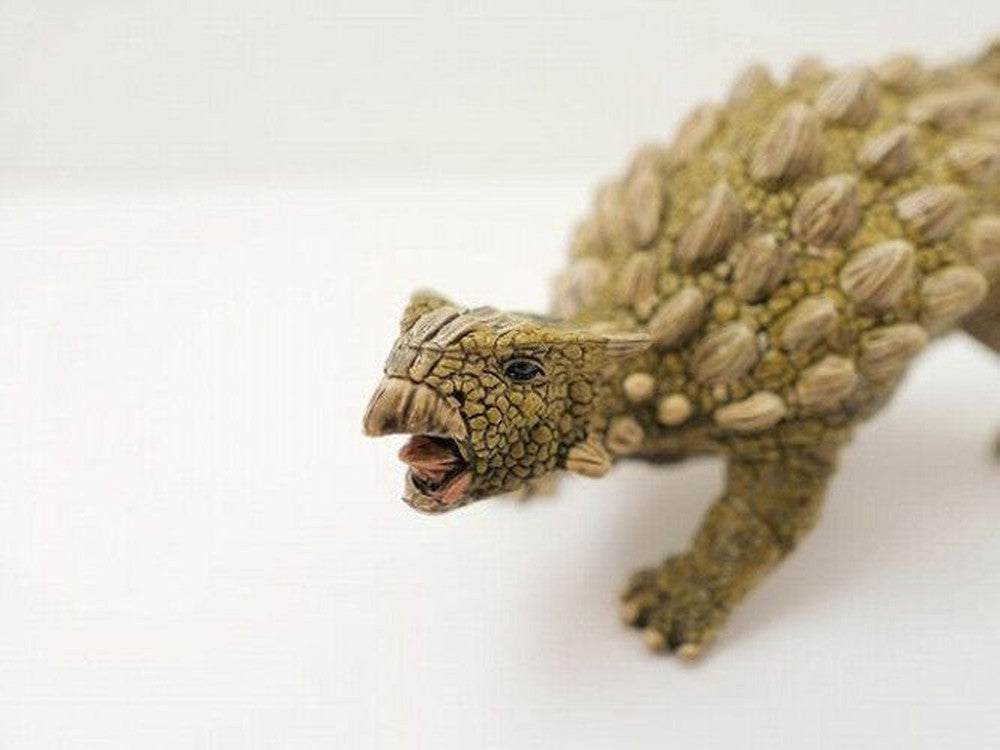 Dino - Ankylosaurus