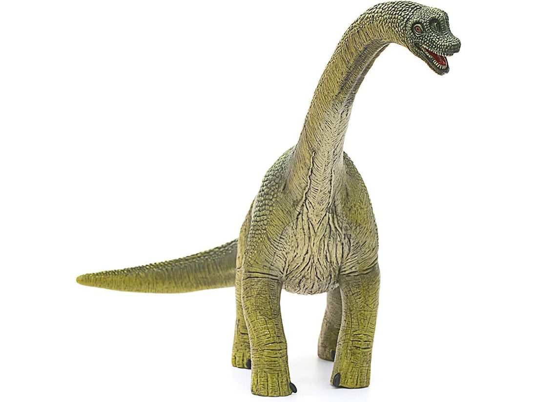 Dino - Brachiosaurus