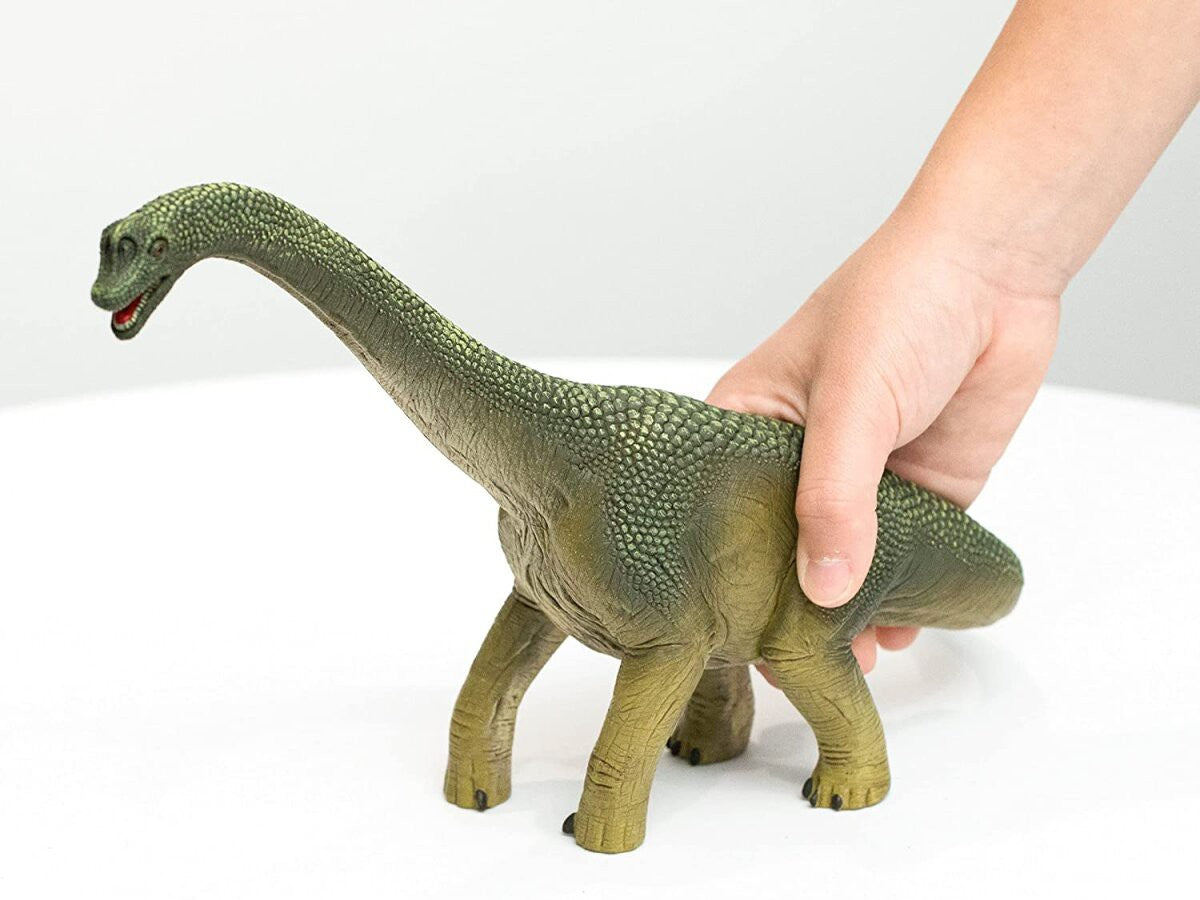 Dino - Brachiosaurus