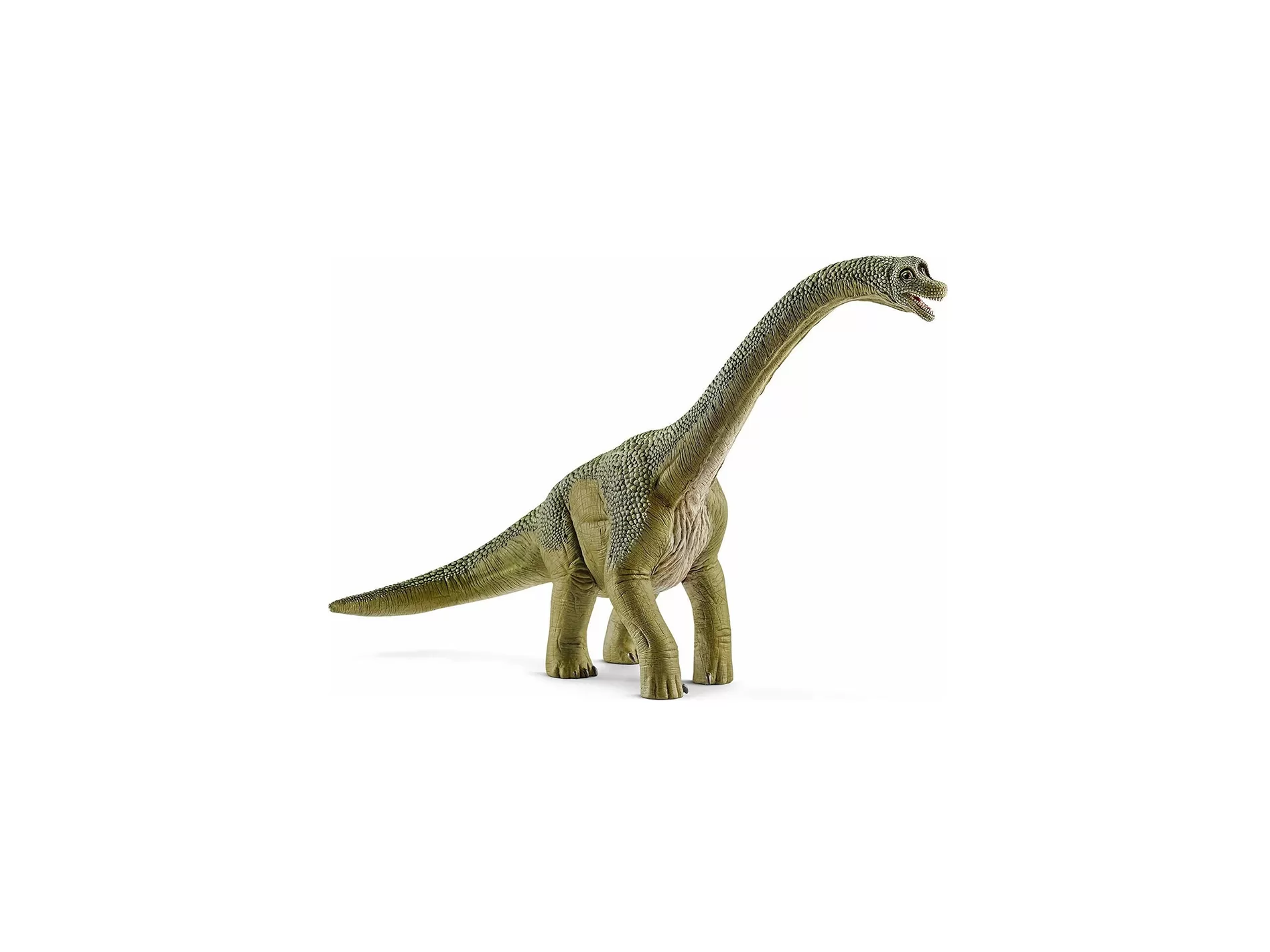 Dino - Brachiosaurus