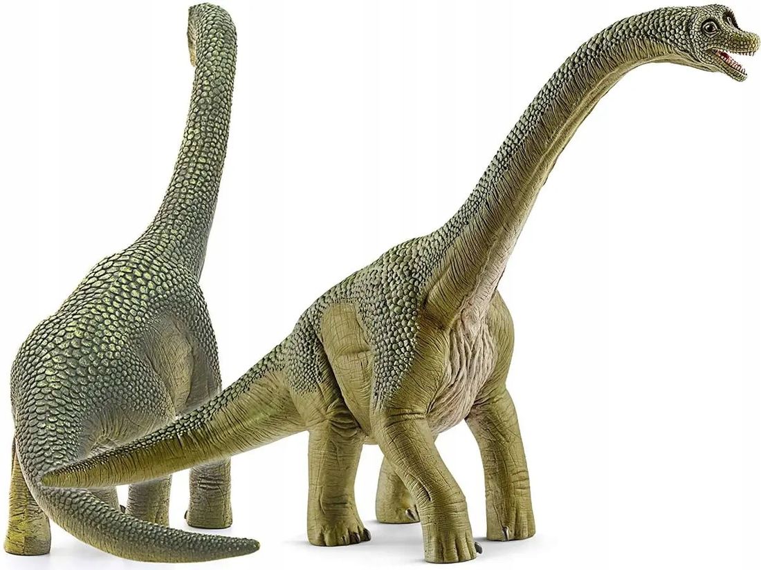 Dino - Brachiosaurus