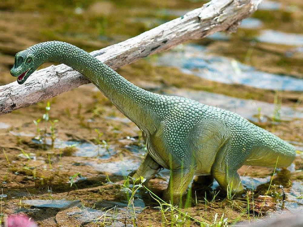 Dino - Brachiosaurus