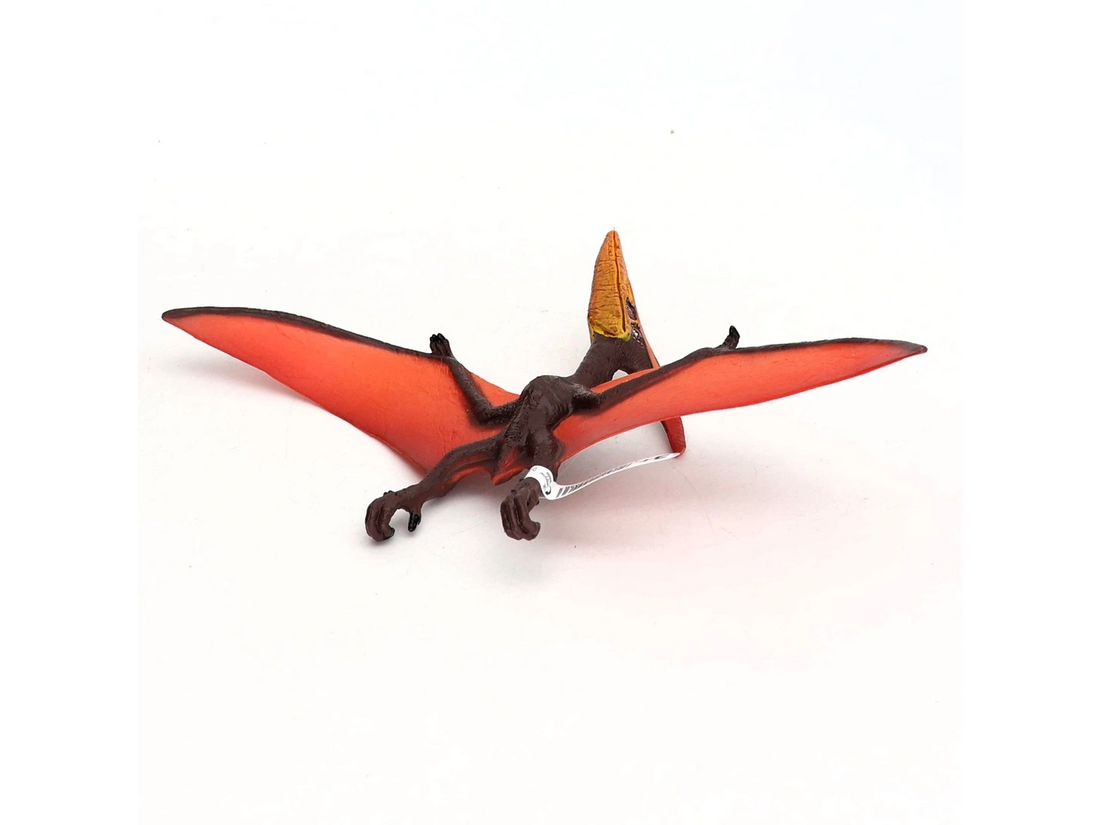 Dino - Pteranodon