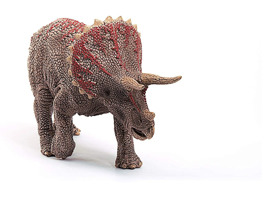 Dino - Triceratops