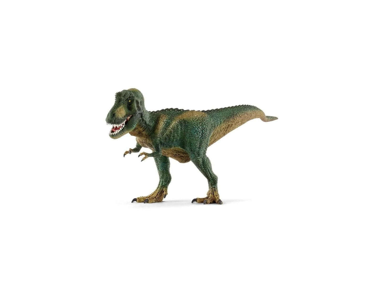 Dino - Tyrannosaurus Rex