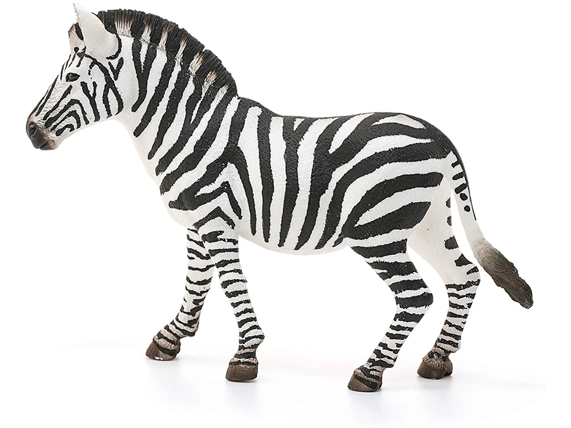 Safari - Zebra Stute