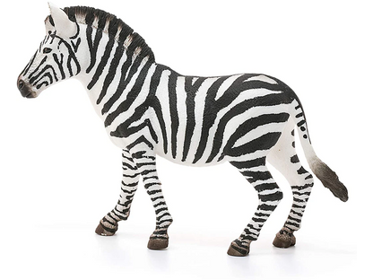 Safari - Zebra Stute