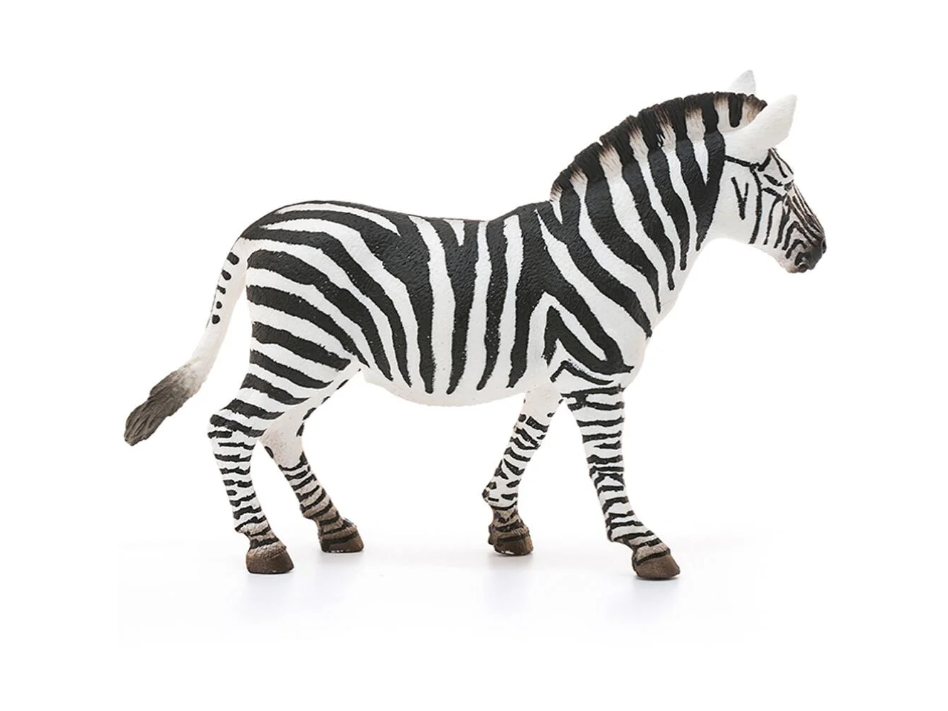 Safari - Zebra Stute